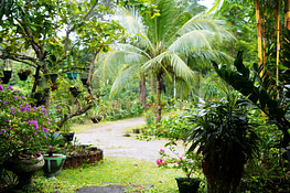 Sigiriya Asiri Homestay Garten
