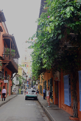Cartagena bunte Straße Franzi hoch