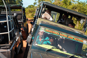 Yala Nationalpark Safari Jeep