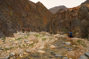 Dana Wadi Ghuwayr