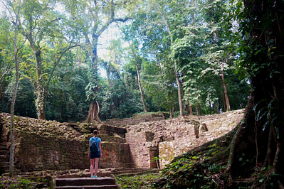 Palenque Dschungel Franzi