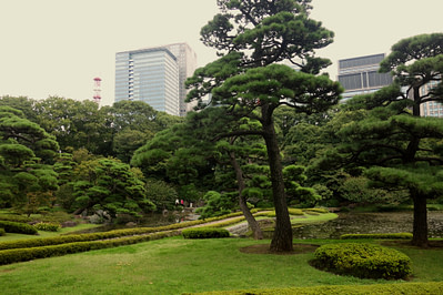 Tokio Imperial Palace Park