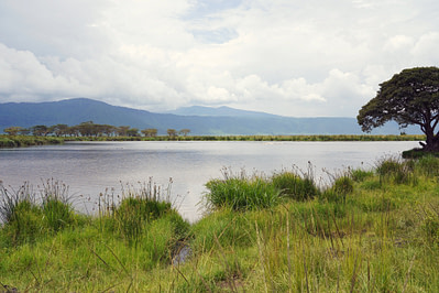 Ngorongoro Krater Seeblick