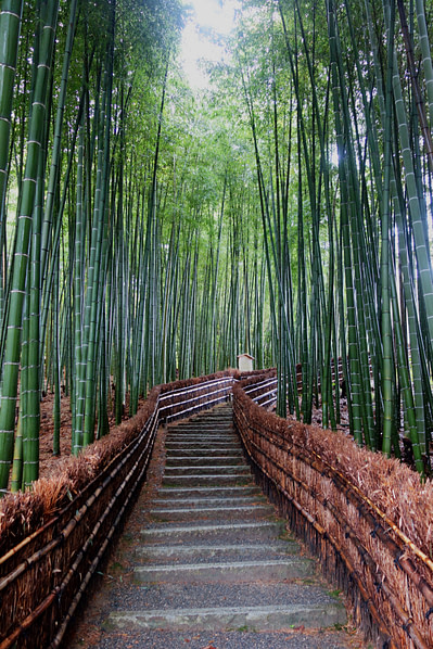 Bambuswald Nenbutsuji Tempel