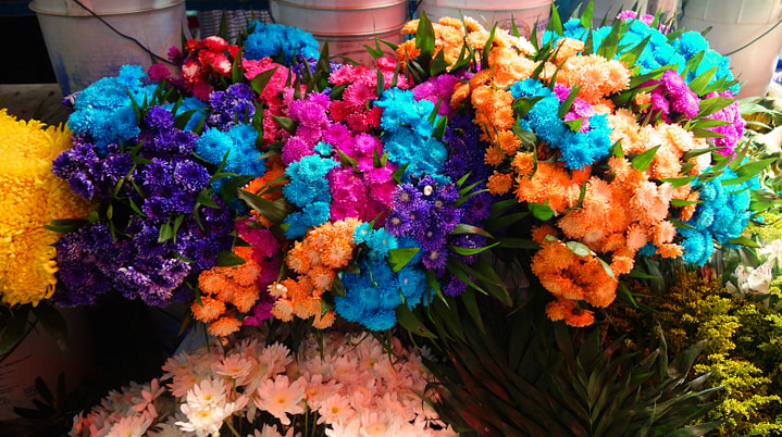 Markt Puerto Escondido Blumen