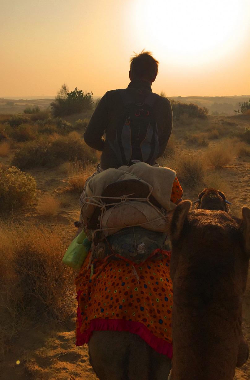 Jaisalmer Kamelsafari Matthias