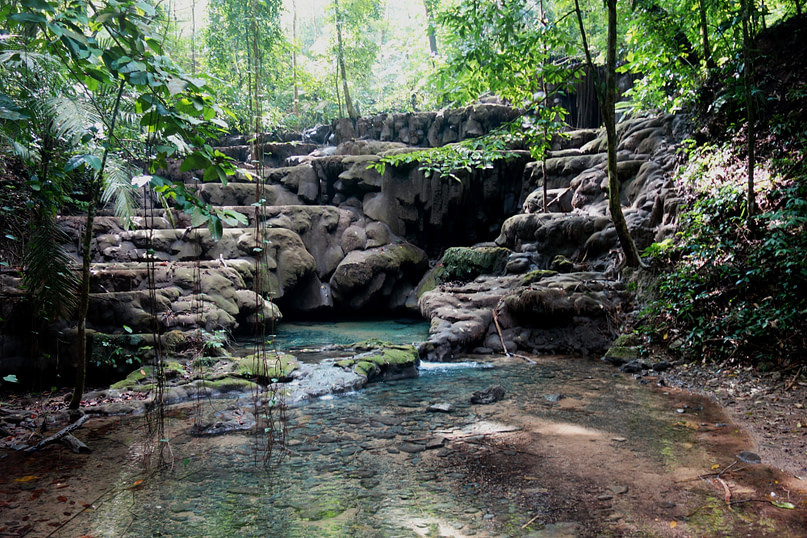 Palenque Dschungel