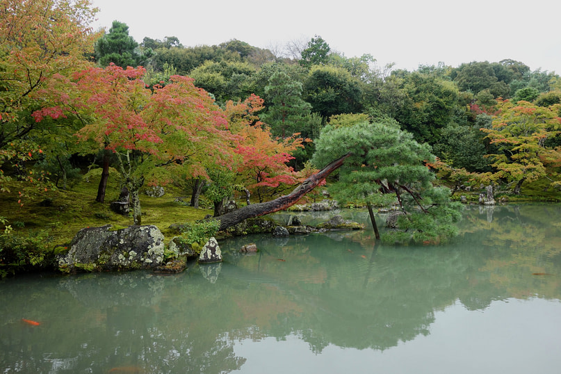 Japan Reisetipps Herbst