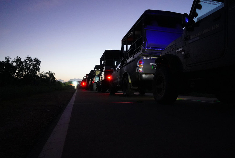 Yala Nationalpark Jeep Schlange