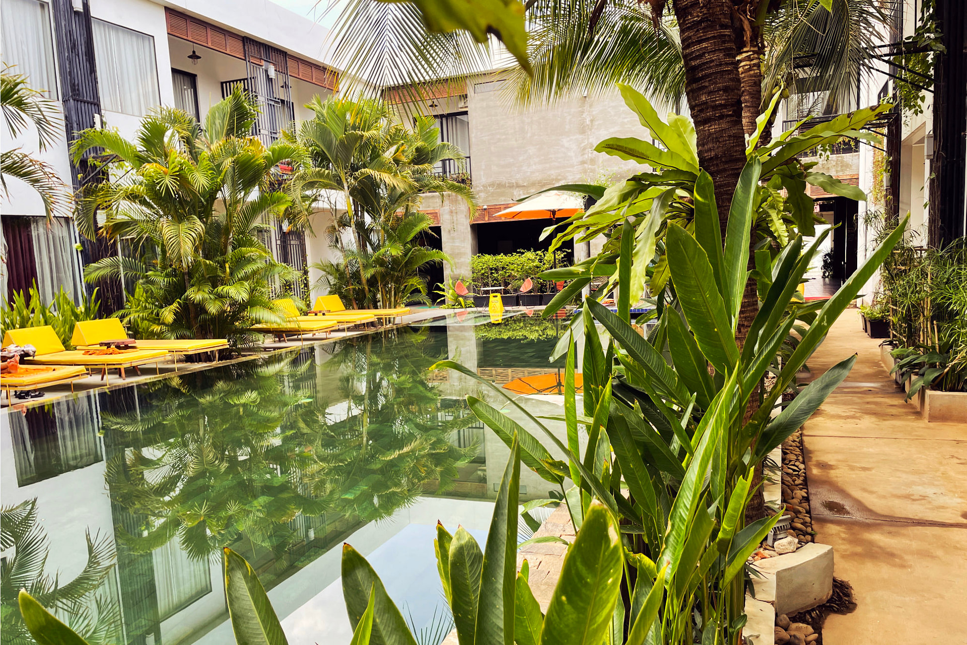 Siem Reap Hotel Pool